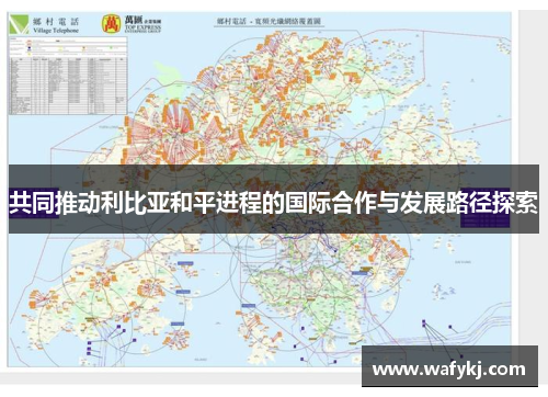 共同推动利比亚和平进程的国际合作与发展路径探索