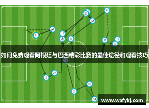 如何免费观看阿根廷与巴西精彩比赛的最佳途径和观看技巧